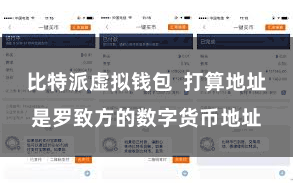 比特派虚拟钱包  打算地址是罗致方的数字货币地址
