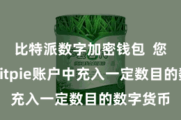 比特派数字加密钱包  您需要在Bitpie账户中充入一定数目的数字货币