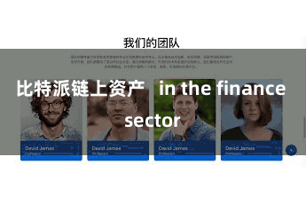 比特派链上资产   in the finance sector