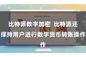 比特派数字加密 比特派还撑持用户进行数字货币转账操作