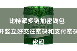 比特派多链加密钱包  并竖立好交往密码和支付密码