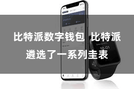 比特派数字钱包  比特派遴选了一系列圭表