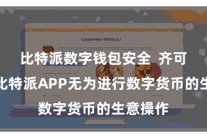 比特派数字钱包安全  齐可以通过比特派APP无为进行数字货币的生意操作