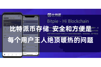 比特派币存储 安全和方便是每个用户王人绝顶暖热的问题